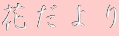 花だより