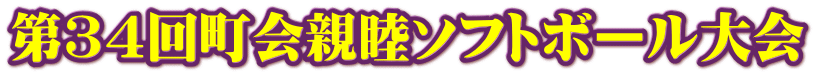 第３４回町会親睦ソフトボール大会