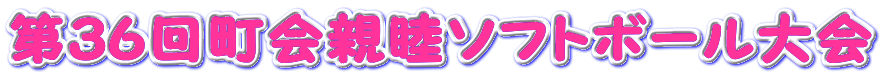 第３６回町会親睦ソフトボール大会 