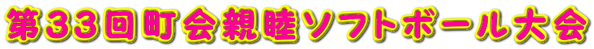 第３３回町会親睦ソフトボール大会